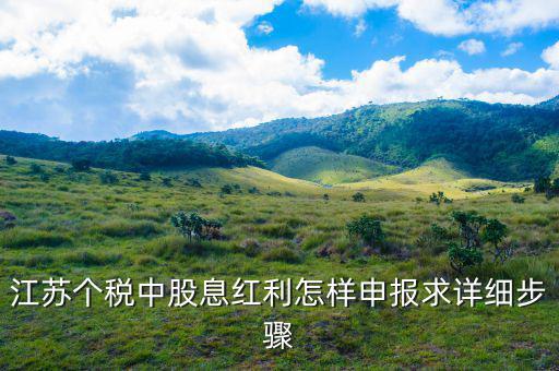 股息紅利如何申報(bào)，其他利息股息紅利所得怎么申報(bào)