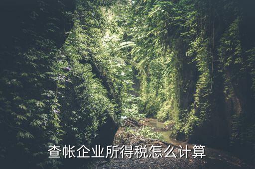 企業(yè)所得稅如何查賬，企業(yè)所得稅計(jì)算 查賬法