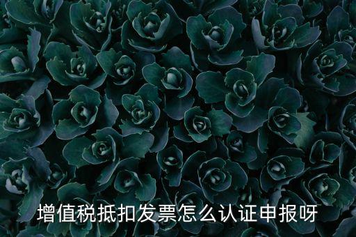 如何認證抵扣發(fā)票，增值稅抵扣發(fā)票怎么認證申報呀