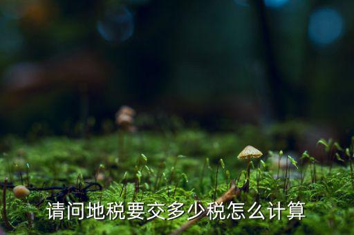 土地稅如何計(jì)算，土地使用稅的計(jì)算公式