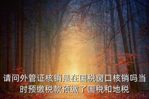 外管證如何核銷，發(fā)票已開(kāi)外管證丟了怎么核銷