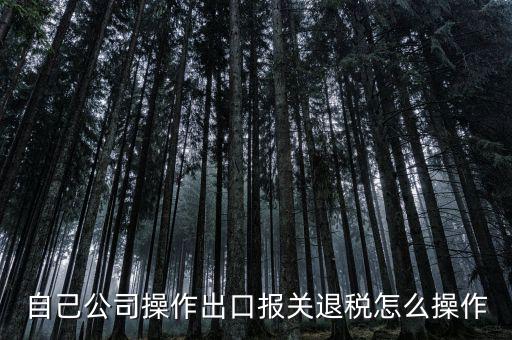 如何根據(jù)報關(guān)單退稅，報關(guān)到退稅的流程是怎樣的