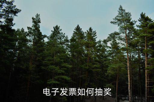發(fā)票如何登記抽獎，發(fā)票怎么抽獎