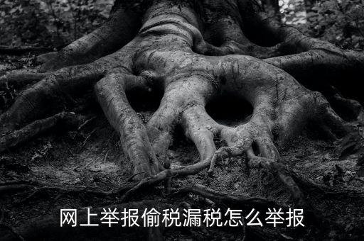 如何網(wǎng)上稅務(wù)舉報(bào)，網(wǎng)上舉報(bào)偷稅漏稅怎么舉報(bào)