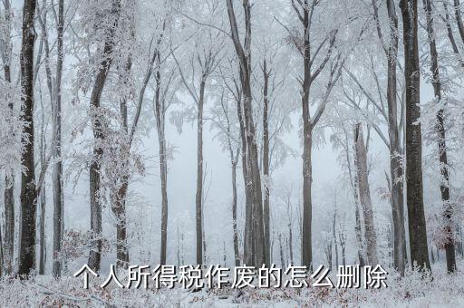 如何刪除已審核的地稅報表，已遞上的地稅網(wǎng)上財務(wù)報表系統(tǒng)的報表能否刪除