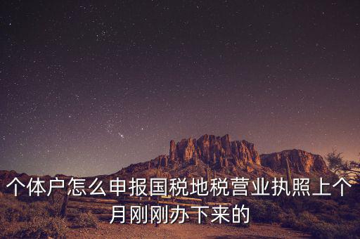 個體定額如何申報國稅，個體戶如何申報國稅和地稅