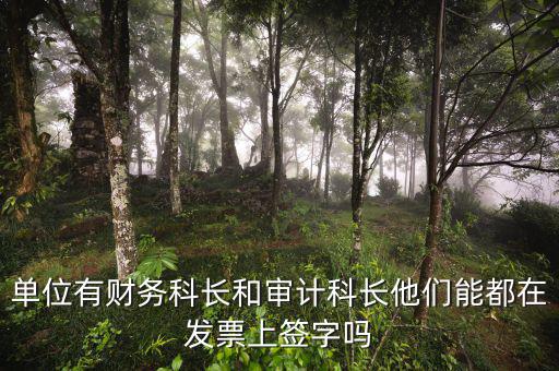 發(fā)票報銷領(lǐng)導(dǎo)如何批示，有發(fā)票怎么報銷