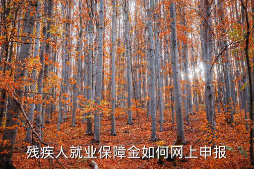 安徽殘疾人保障金如何網(wǎng)上申報，殘疾人就業(yè)保障金如何網(wǎng)上申報