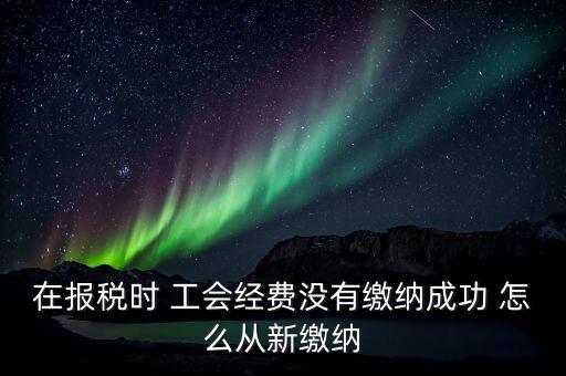 如何補(bǔ)繳工會經(jīng)費(fèi)，在報稅時 工會經(jīng)費(fèi)沒有繳納成功 怎么從新繳納
