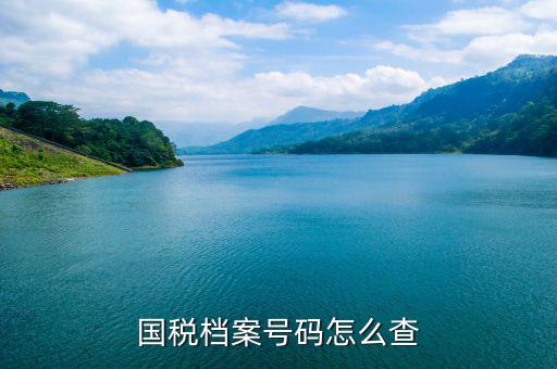 如何查地稅檔案，國稅檔案號碼怎么查
