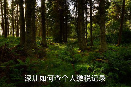 深圳如何查詢地稅，深圳個稅怎么查