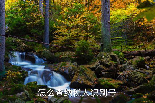 如何查詢個(gè)人納稅人識(shí)別號(hào)，納稅人識(shí)別號(hào)查詢
