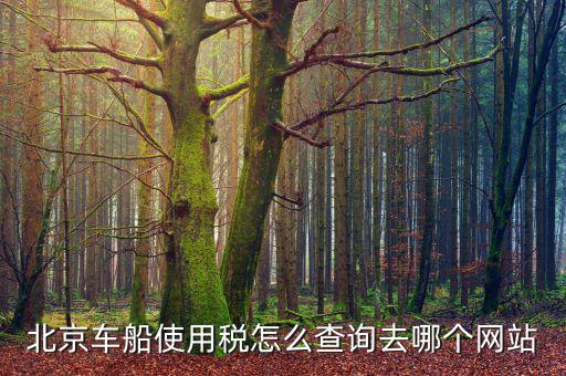 北京車船稅如何查詢系統(tǒng)，北京車船使用稅怎么查詢交沒(méi)交