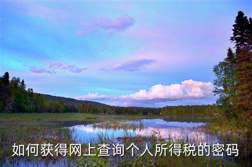 如何獲取個稅網(wǎng)報密碼，個人所得稅怎么查