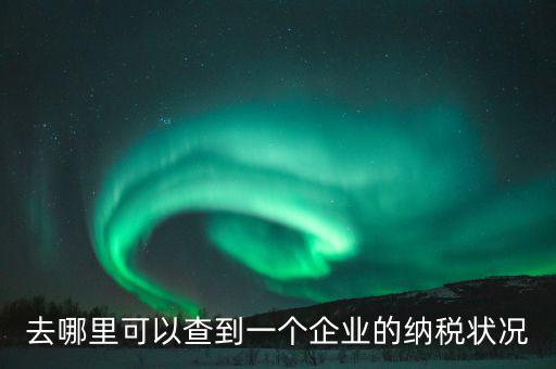 企業(yè)在哪納稅如何查，去哪里可以查到一個企業(yè)的納稅狀況