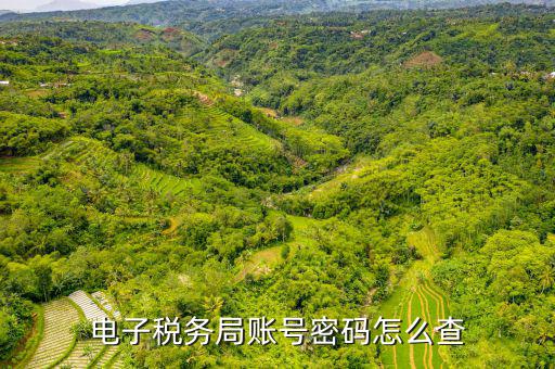 國(guó)稅賬戶如何查詢系統(tǒng)，電子稅務(wù)局賬號(hào)密碼怎么查