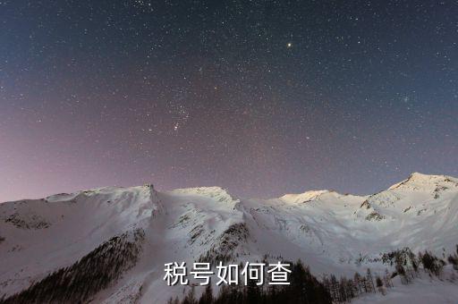 如何查詢公司稅務(wù)編號(hào)查詢，如何通過(guò)企業(yè)注冊(cè)號(hào)查詢企業(yè)稅務(wù)登記證號(hào)