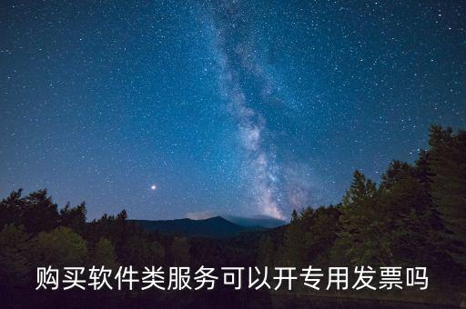 軟件采購專票如何開具，購買軟件類服務可以開專用發(fā)票嗎