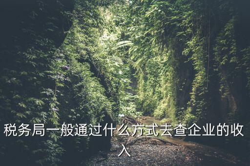 稅務(wù)如何統(tǒng)計(jì)收入，小規(guī)模增值稅季報(bào)在哪里統(tǒng)計(jì)收入