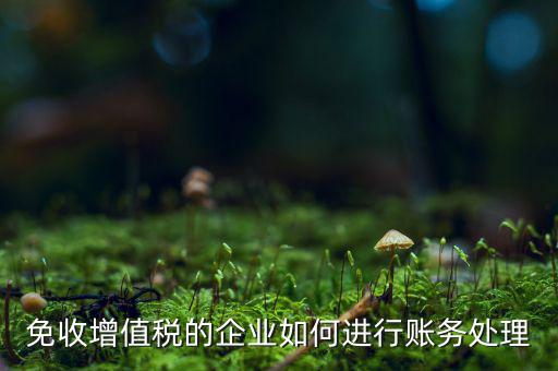 免稅的增值稅如何處理，增值稅免稅的處理