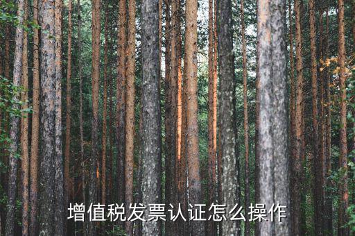 如何認(rèn)證增值稅進(jìn)項(xiàng)稅，進(jìn)項(xiàng)稅怎么認(rèn)證