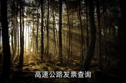 如何知道道路發(fā)票幾級(jí)，汽車(chē)的增值稅發(fā)票怎么看