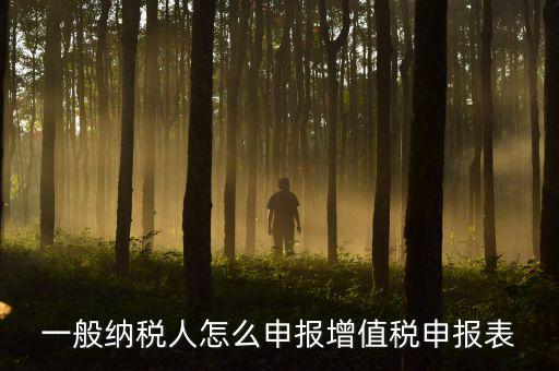 增值一般納稅人國稅如何申報，一般納稅人怎么申報增值稅申報表