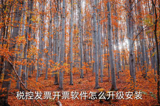 開票系統(tǒng)如何升級成品油軟件，稅率調(diào)整開票軟件如何升級