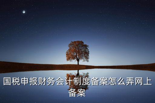 電子稅務局如何會計制度備案，2017年電子稅務局財務報表備案是不是可以馬上填寫