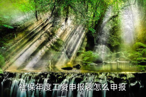 如何申報(bào)社保費(fèi)申報(bào)表，申報(bào)社保怎么申請(qǐng)