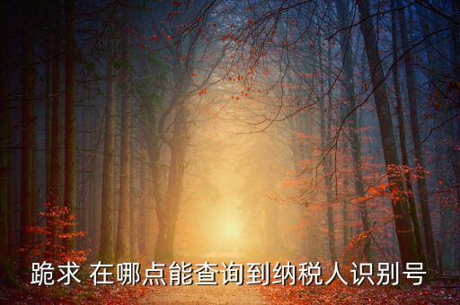 跪求 在哪點(diǎn)能查詢(xún)到納稅人識(shí)別號(hào)