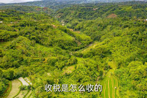 如何收稅務(wù)，收稅是怎么收的