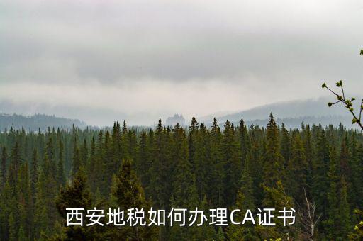 如何申請地稅ca證書，西安地稅如何辦理CA證書