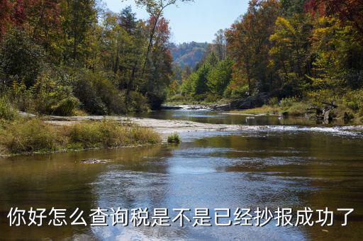 如何查看抄報(bào)成功，稅控發(fā)票開票軟件怎么看網(wǎng)上抄報(bào)成功沒有
