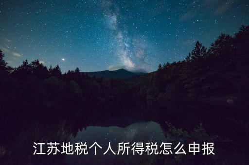 如何申報(bào)年稅江蘇，江蘇地稅個(gè)人所得稅怎么申報(bào)