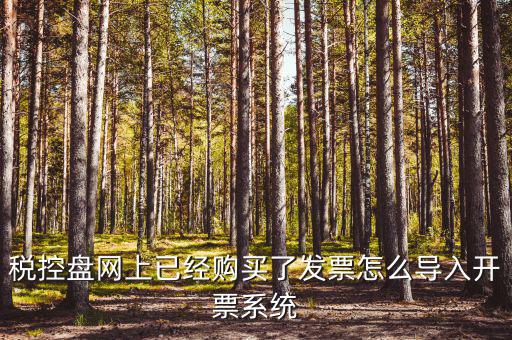 如何進入開票系統(tǒng)，怎么進入國家稅務(wù)局發(fā)票填開系統(tǒng)
