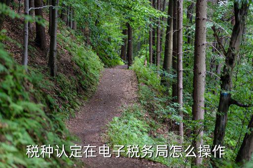 稅務(wù)局如何核定稅種，如何辦理稅種核定