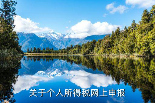 網(wǎng)上如何啟用個(gè)稅，如何打開(kāi)個(gè)人所得稅申報(bào)表的明細(xì)