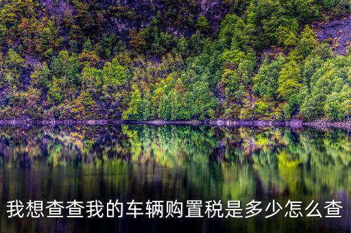 如何看購置稅發(fā)票，我想查查我的車輛購置稅是多少怎么查