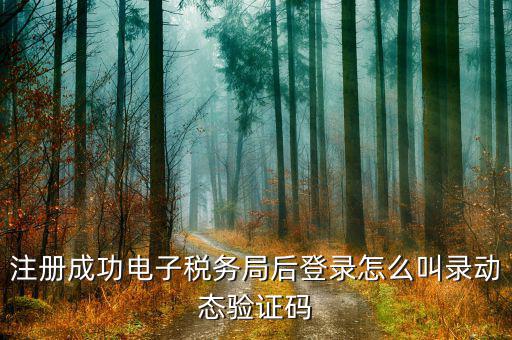 電子稅務(wù)局如何登錄，稅務(wù)總局電子申報軟件怎么使用