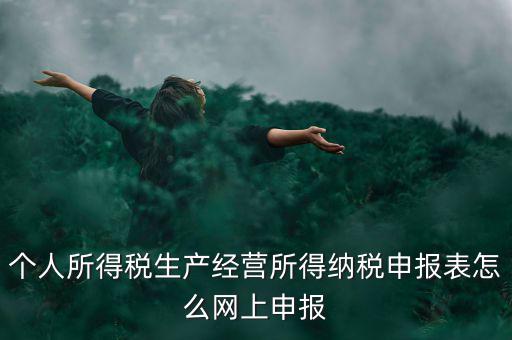 生產(chǎn)經(jīng)營所得如何網(wǎng)上申報(bào)，個(gè)體工商戶網(wǎng)上申報(bào)怎么做
