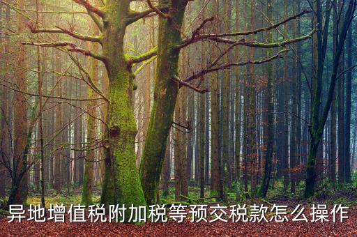 跨區(qū)稅源登記 如何繳納附加稅，異地增值稅附加稅等預交稅款怎么操作