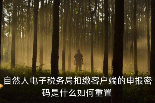 自然人納稅申報密碼如何找回，電子稅務(wù)局密碼忘記了怎么找回
