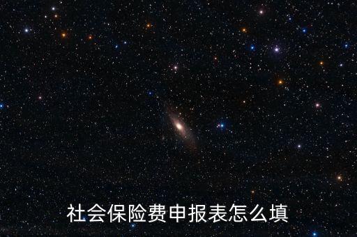 稅務(wù)系統(tǒng)社保費(fèi)申報(bào)表如何填報(bào)，社會(huì)保險(xiǎn)費(fèi)申報(bào)表怎么填