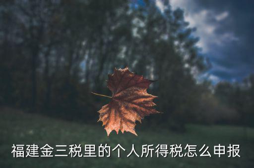 福建企業(yè)個稅如何申報系統(tǒng)，福建省2019年企業(yè)所得稅年報 在哪里報