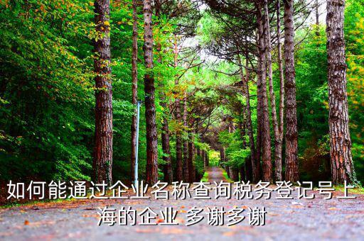 如何查詢稅務登記號碼，如何能通過企業(yè)名稱查詢稅務登記號上海的企業(yè) 多謝多謝