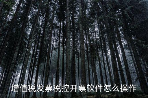 百望開票軟件如何開票，百望開票系統(tǒng)發(fā)票抬頭有符號(hào)怎么打