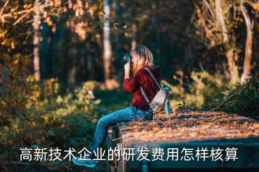 如何計(jì)算研發(fā)費(fèi)用，企業(yè)研發(fā)費(fèi)用加計(jì)扣除的研發(fā)費(fèi)用加計(jì)扣除額計(jì)算