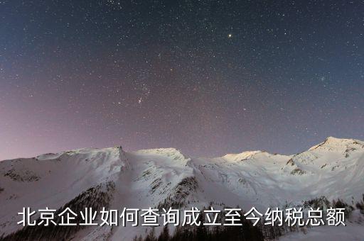 北京如何查詢公司的納稅等級(jí)，在國(guó)稅局要查一個(gè)公司的納稅情況怎么查
