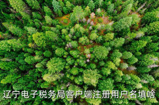 如何注冊(cè)社保電子稅務(wù)局賬號(hào)，遼寧電子稅務(wù)局客戶端注冊(cè)用戶名填啥